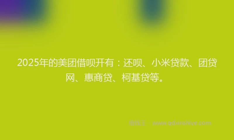 2025年的美团借呗开有：还呗、小米贷款、团贷网、惠商贷、柯基贷等。