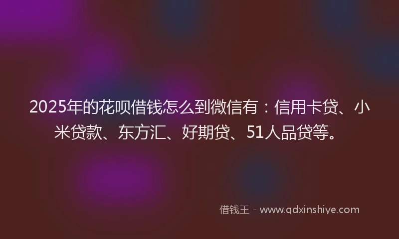 2025年的花呗借钱怎么到微信有：信用卡贷、小米贷款、东方汇、好期贷、51人品贷等。