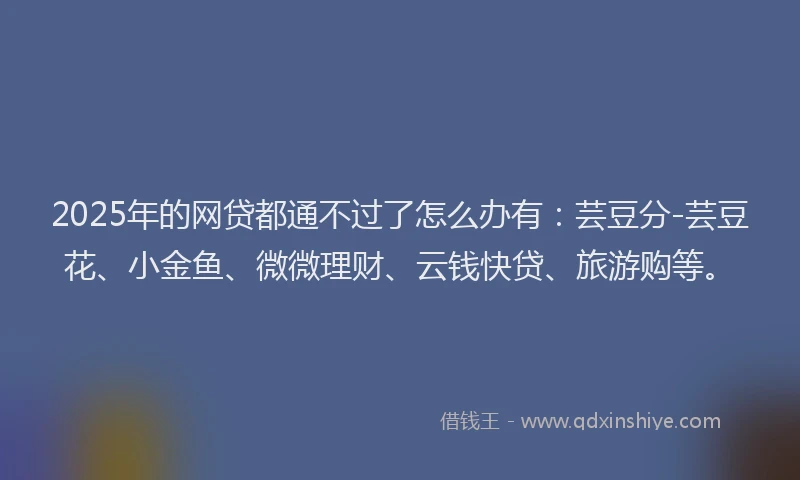 2025年的网贷都通不过了怎么办有：芸豆分-芸豆花、小金鱼、微微理财、云钱快贷、旅游购等。