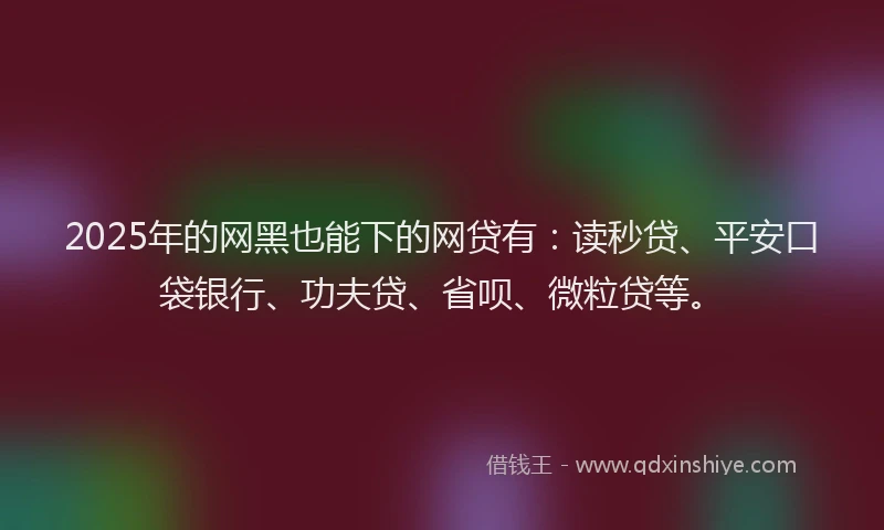 2025年的网黑也能下的网贷有：读秒贷、平安口袋银行、功夫贷、省呗、微粒贷等。