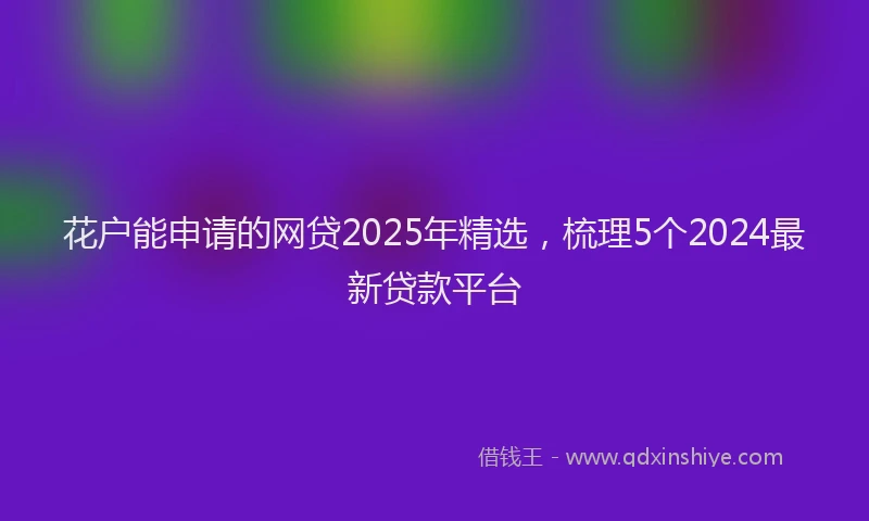 花户能申请的网贷2025年精选，梳理5个2024最新贷款平台