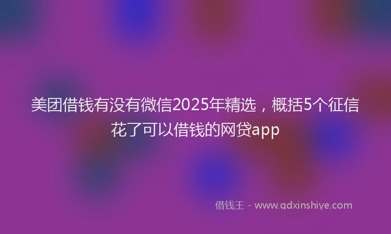 美团借钱有没有微信2025年精选，概括5个征信花了可以借钱的网贷app
