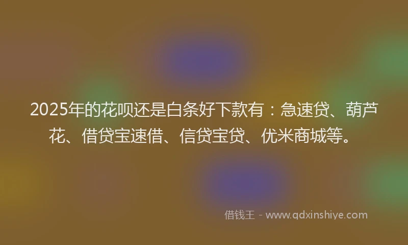 2025年的花呗还是白条好下款有：急速贷、葫芦花、借贷宝速借、信贷宝贷、优米商城等。
