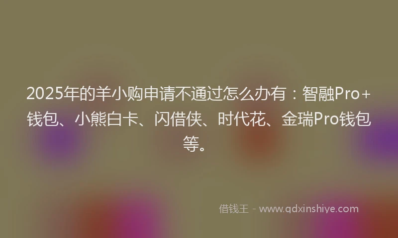 2025年的羊小购申请不通过怎么办有：智融Pro+钱包、小熊白卡、闪借侠、时代花、金瑞Pro钱包等。