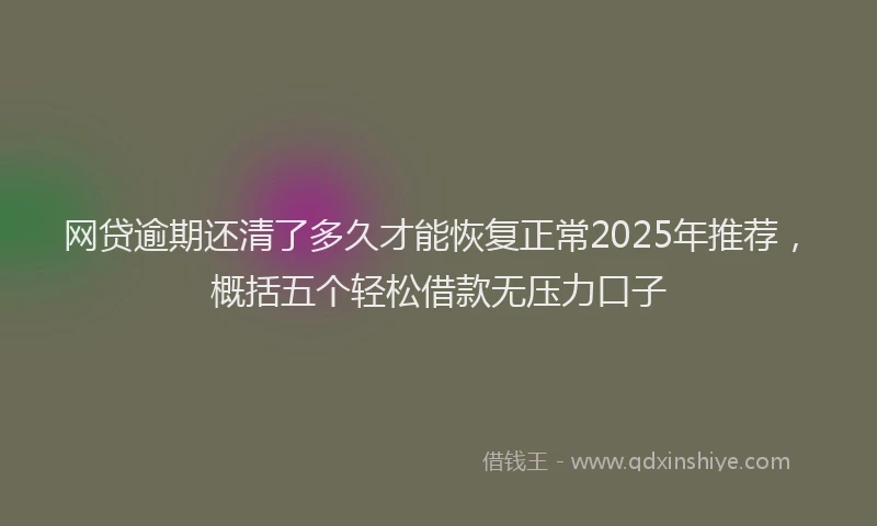 网贷逾期还清了多久才能恢复正常2025年推荐，概括五个轻松借款无压力口子