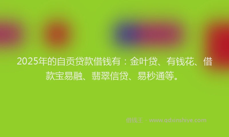 2025年的自贡贷款借钱有：金叶贷、有钱花、借款宝易融、翡翠信贷、易秒通等。