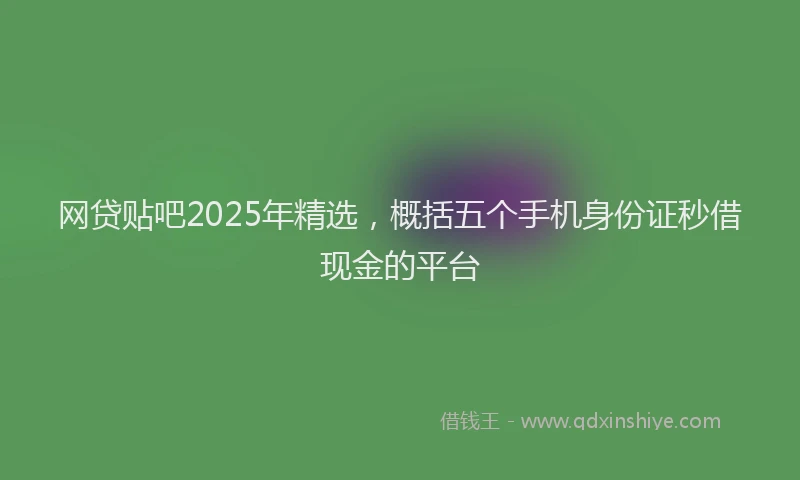 网贷贴吧2025年精选，概括五个手机身份证秒借现金的平台
