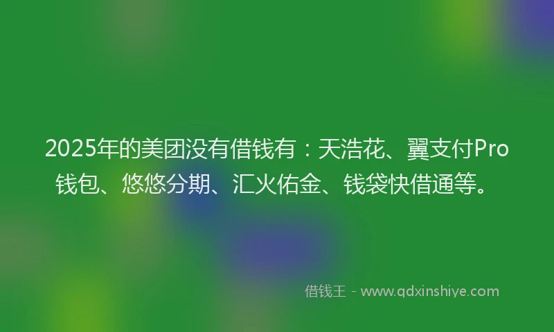 2025年的美团没有借钱有：天浩花、翼支付Pro钱包、悠悠分期、汇火佑金、钱袋快借通等。