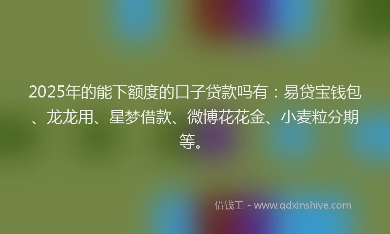 2025年的能下额度的口子贷款吗有：易贷宝钱包、龙龙用、星梦借款、微博花花金、小麦粒分期等。