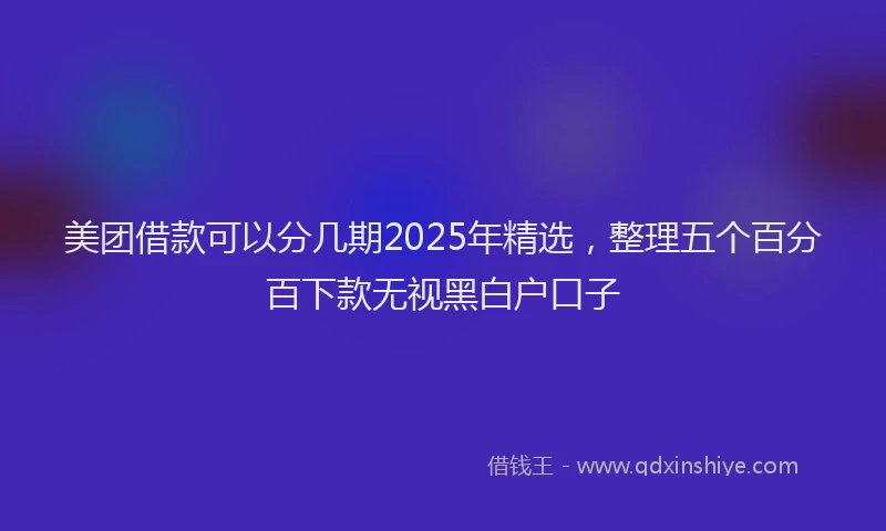 美团借款可以分几期2025年精选，整理五个百分百下款无视黑白户口子