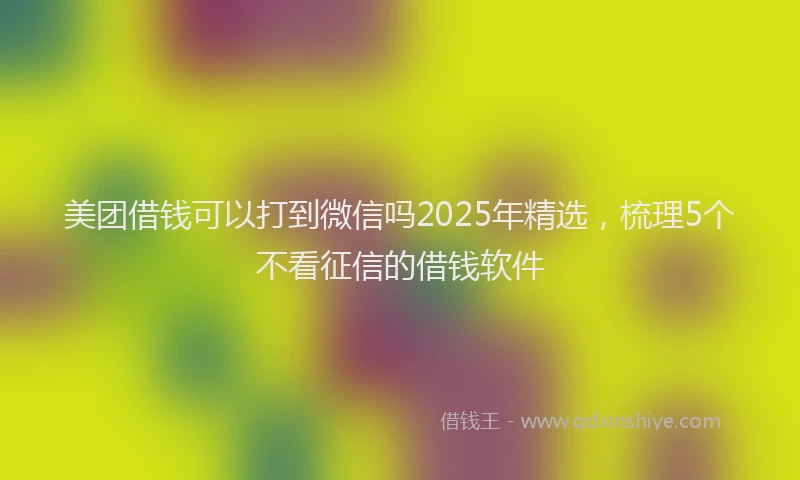 美团借钱可以打到微信吗2025年精选，梳理5个不看征信的借钱软件