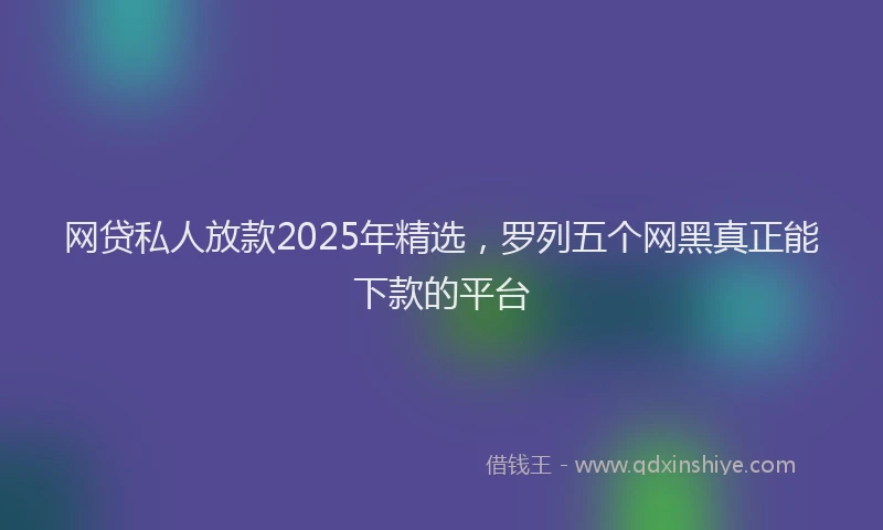 网贷私人放款2025年精选，罗列五个网黑真正能下款的平台