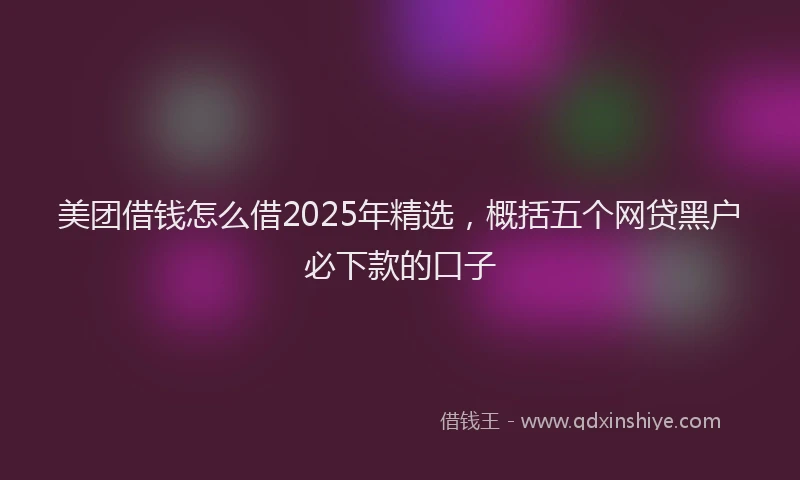 美团借钱怎么借2025年精选，概括五个网贷黑户必下款的口子