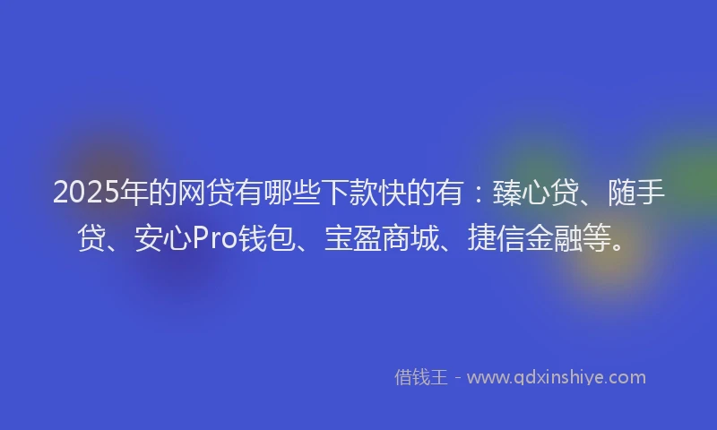 2025年的网贷有哪些下款快的有：臻心贷、随手贷、安心Pro钱包、宝盈商城、捷信金融等。