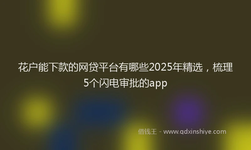 花户能下款的网贷平台有哪些2025年精选，梳理5个闪电审批的app