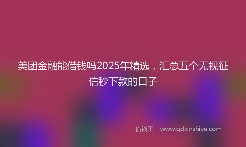 美团金融能借钱吗2025年精选，汇总五个无视征信秒下款的口子