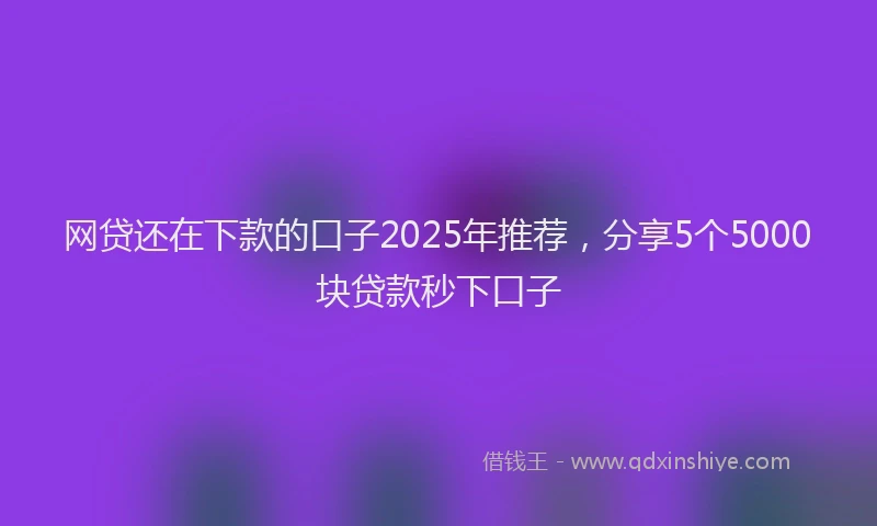 网贷还在下款的口子2025年推荐，分享5个5000块贷款秒下口子