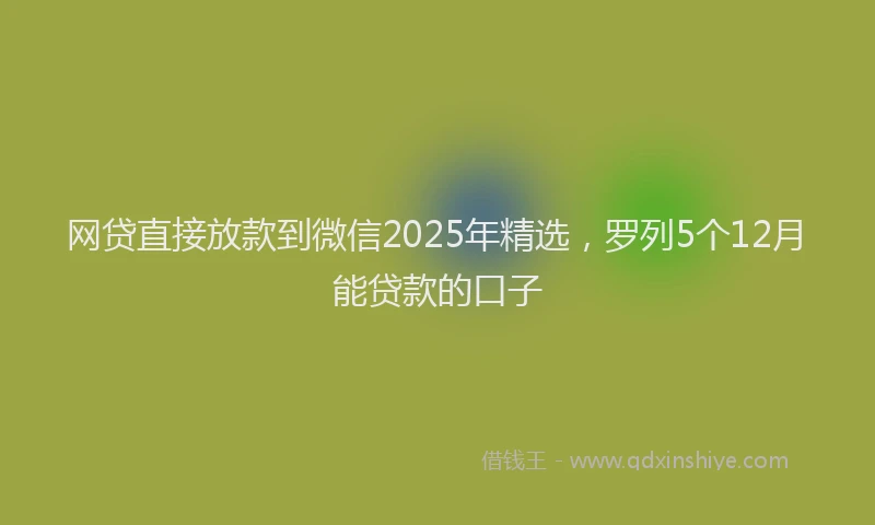 网贷直接放款到微信2025年精选，罗列5个12月能贷款的口子