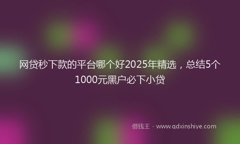 网贷秒下款的平台哪个好2025年精选，总结5个1000元黑户必下小贷