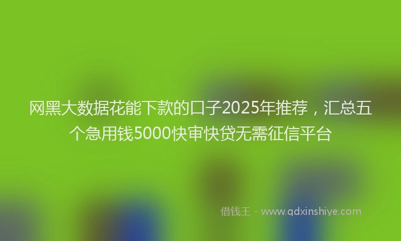 网黑大数据花能下款的口子2025年推荐，汇总五个急用钱5000快审快贷无需征信平台