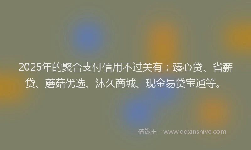 2025年的聚合支付信用不过关有：臻心贷、省薪贷、蘑菇优选、沐久商城、现金易贷宝通等。