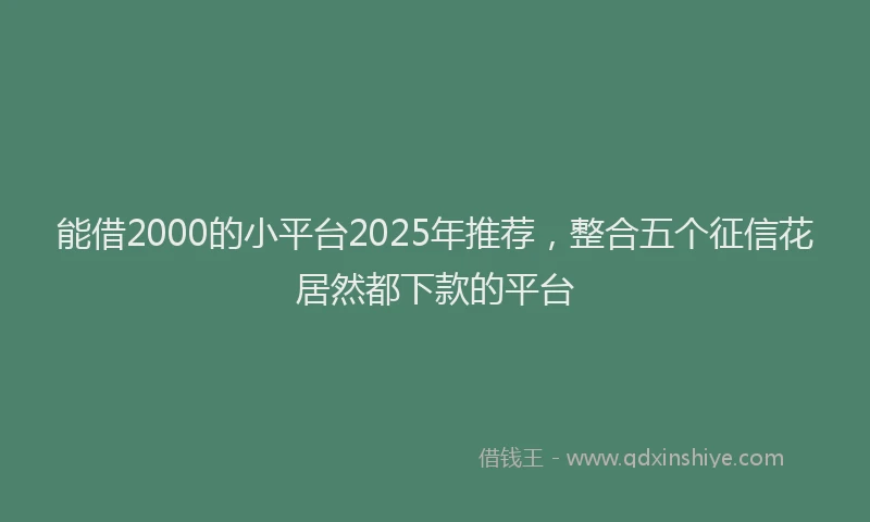 能借2000的小平台2025年推荐，整合五个征信花居然都下款的平台