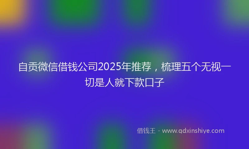 自贡微信借钱公司2025年推荐，梳理五个无视一切是人就下款口子