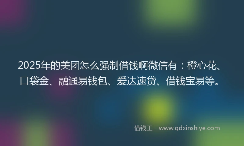 2025年的美团怎么强制借钱啊微信有：橙心花、口袋金、融通易钱包、爱达速贷、借钱宝易等。