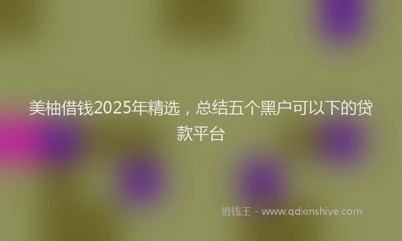 美柚借钱2025年精选，总结五个黑户可以下的贷款平台