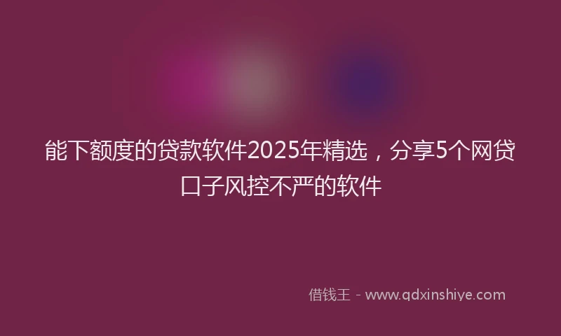 能下额度的贷款软件2025年精选，分享5个网贷口子风控不严的软件