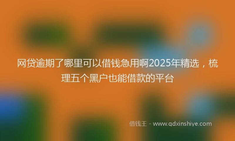 网贷逾期了哪里可以借钱急用啊2025年精选，梳理五个黑户也能借款的平台