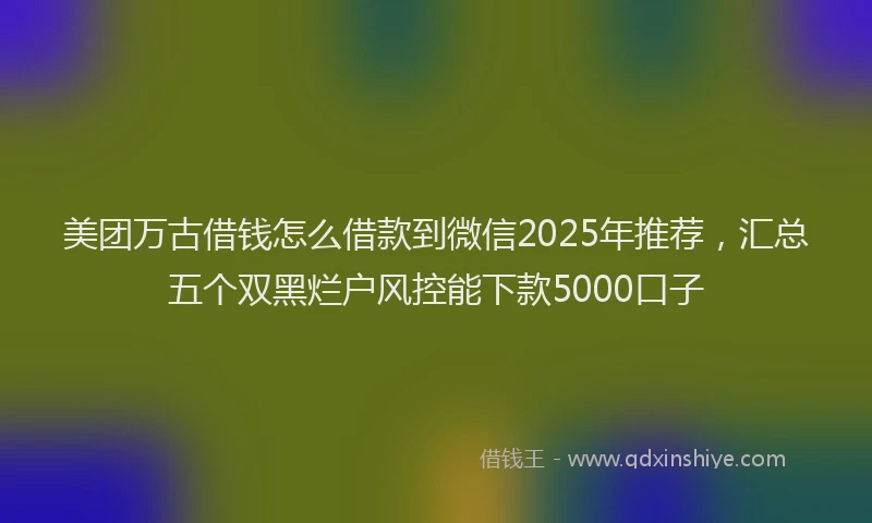 美团万古借钱怎么借款到微信2025年推荐，汇总五个双黑烂户风控能下款5000口子