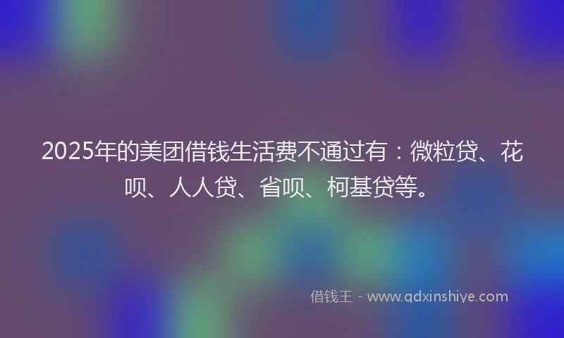 2025年的美团借钱生活费不通过有：微粒贷、花呗、人人贷、省呗、柯基贷等。