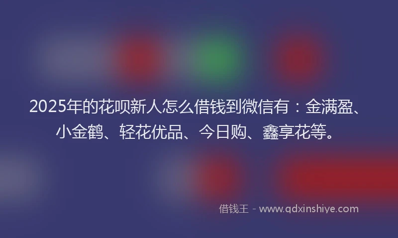 2025年的花呗新人怎么借钱到微信有：金满盈、小金鹤、轻花优品、今日购、鑫享花等。