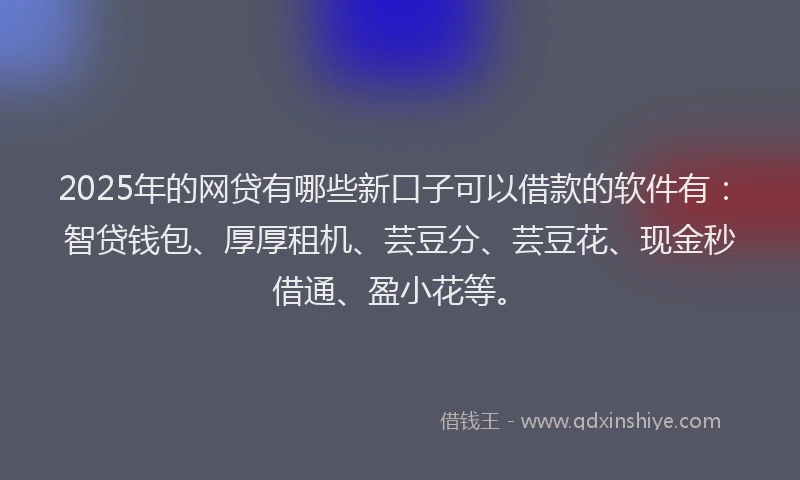 2025年的网贷有哪些新口子可以借款的软件有：智贷钱包、厚厚租机、芸豆分、芸豆花、现金秒借通、盈小花等。