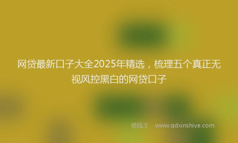 网贷最新口子大全2025年精选，梳理五个真正无视风控黑白的网贷口子