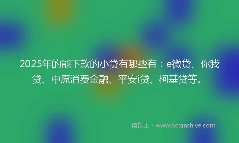 2025年的能下款的小贷有哪些有：e微贷、你我贷、中原消费金融、平安i贷、柯基贷等。