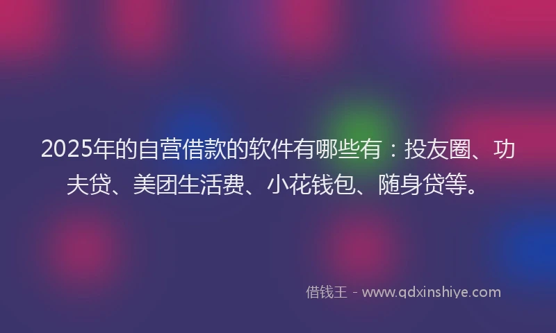 2025年的自营借款的软件有哪些有：投友圈、功夫贷、美团生活费、小花钱包、随身贷等。