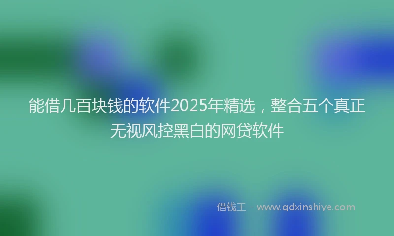 能借几百块钱的软件2025年精选，整合五个真正无视风控黑白的网贷软件