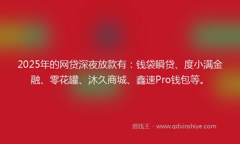 2025年的网贷深夜放款有：钱袋瞬贷、度小满金融、零花罐、沐久商城、鑫速Pro钱包等。