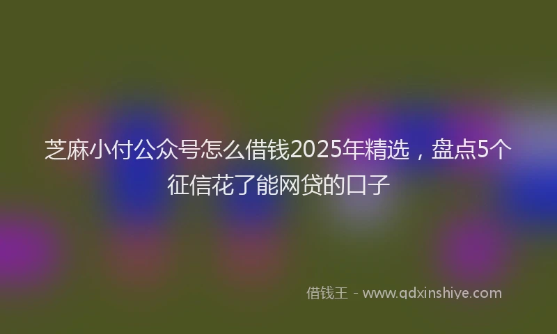 芝麻小付公众号怎么借钱2025年精选，盘点5个征信花了能网贷的口子