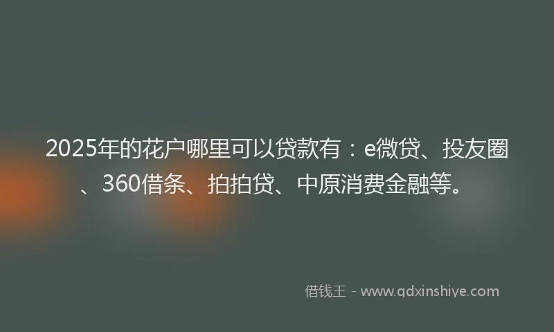 2025年的花户哪里可以贷款有：e微贷、投友圈、360借条、拍拍贷、中原消费金融等。