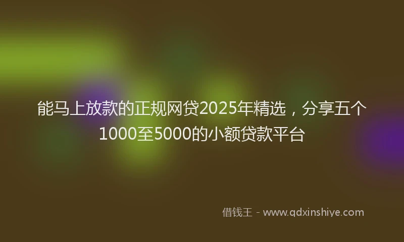 能马上放款的正规网贷2025年精选，分享五个1000至5000的小额贷款平台