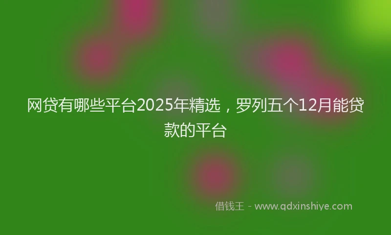 网贷有哪些平台2025年精选，罗列五个12月能贷款的平台