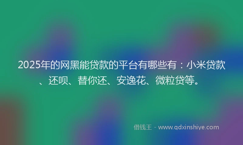 2025年的网黑能贷款的平台有哪些有：小米贷款、还呗、替你还、安逸花、微粒贷等。