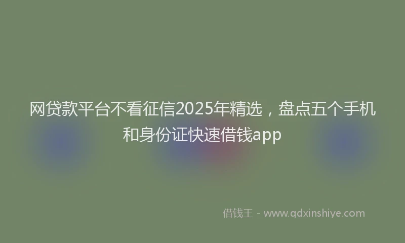 网贷款平台不看征信2025年精选，盘点五个手机和身份证快速借钱app