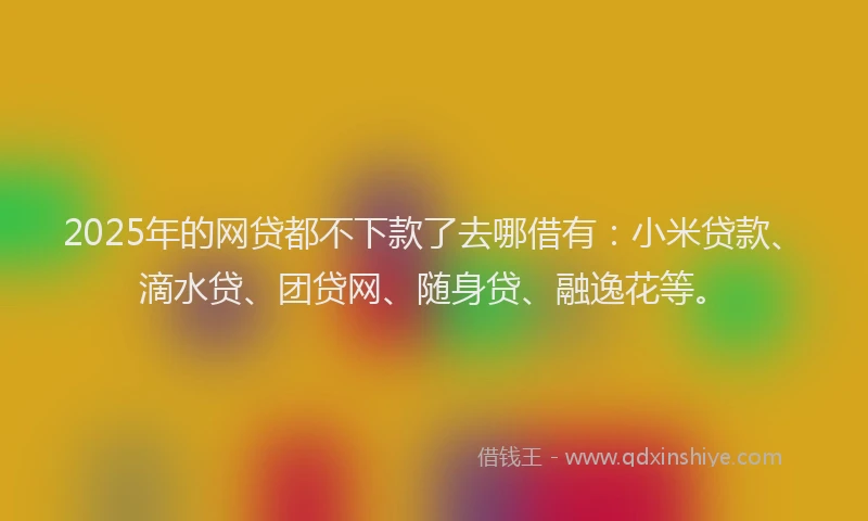 2025年的网贷都不下款了去哪借有：小米贷款、滴水贷、团贷网、随身贷、融逸花等。