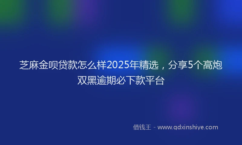 芝麻金呗贷款怎么样2025年精选，分享5个高炮双黑逾期必下款平台