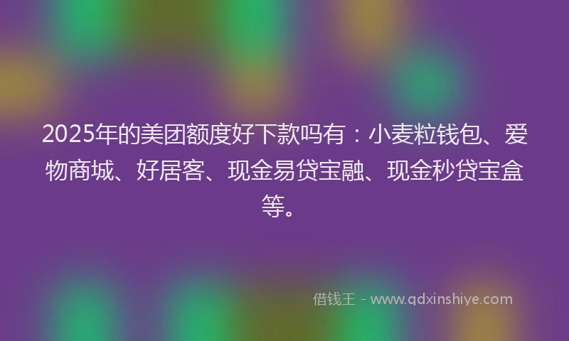 2025年的美团额度好下款吗有：小麦粒钱包、爱物商城、好居客、现金易贷宝融、现金秒贷宝盒等。