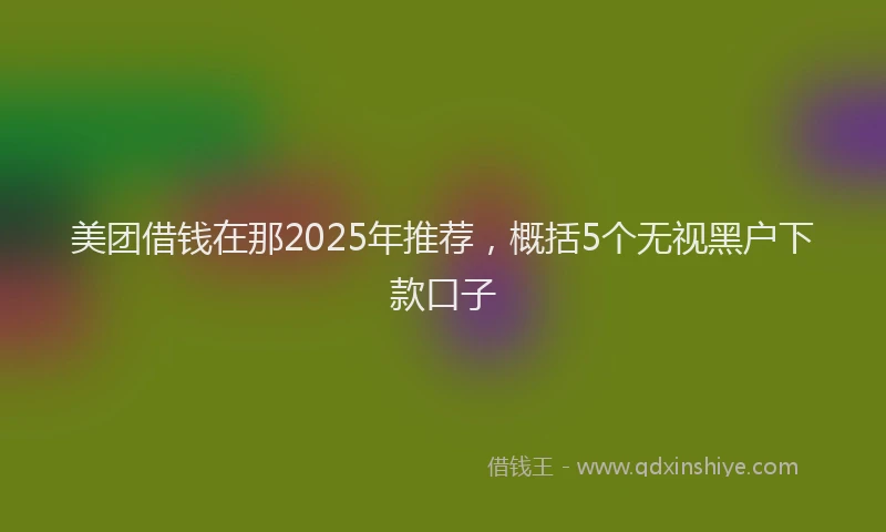 美团借钱在那2025年推荐，概括5个无视黑户下款口子